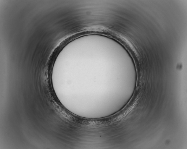 X0000099440923200805301447