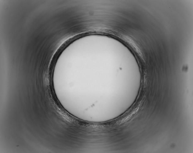 X0000099440924200805301447