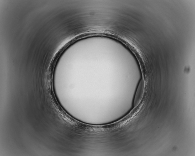 X0000099440925200805301448
