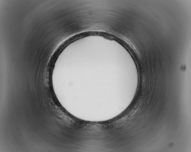 X0000099440926200805301448
