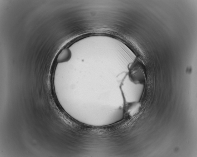 X0000099440932200805301448