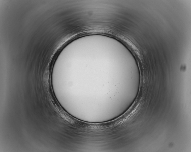 X0000099440933200805301448