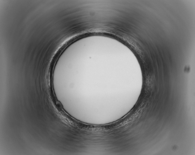 X0000099440934200805301448