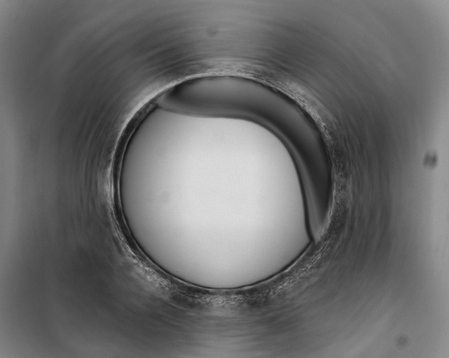X0000099440936200805301448