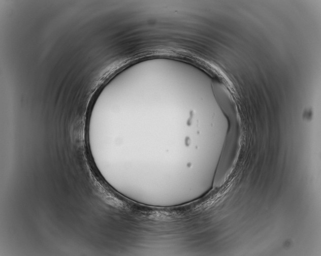 X0000099440938200805301448