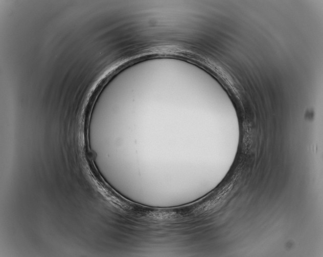 X0000099440939200805301448