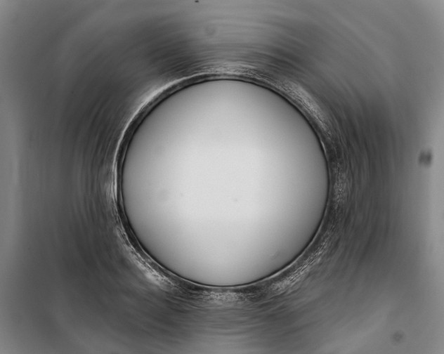X0000099440940200805301448