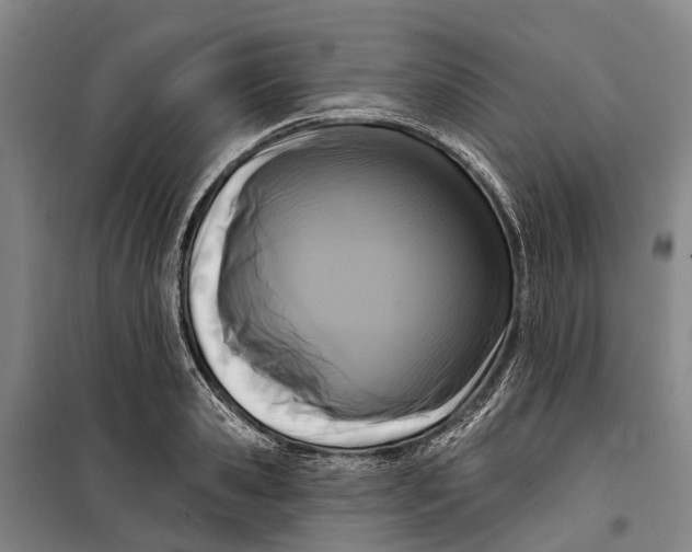 X0000099440941200805301448