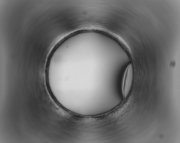 X0000099440943200805301448