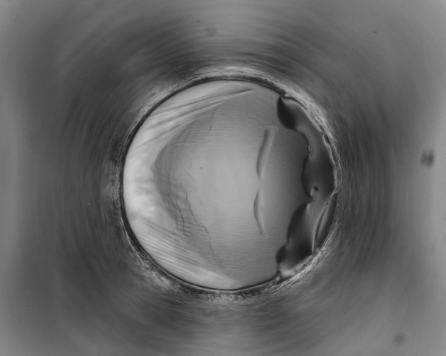 X0000099440945200805301448
