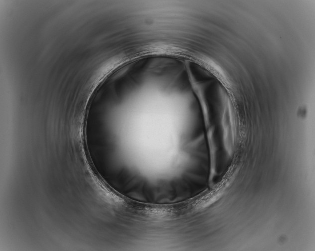 X0000099440946200805301448