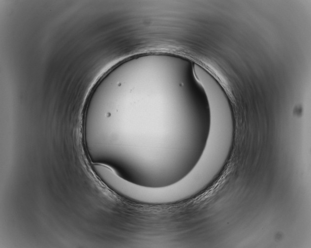 X0000099440948200805301448