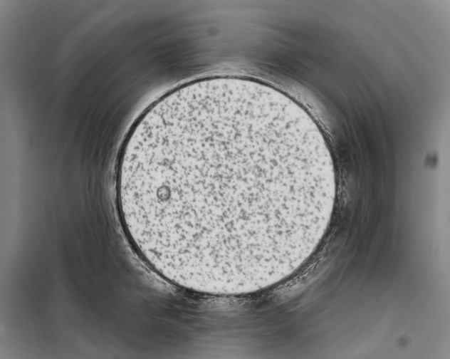 X0000099440950200805301448