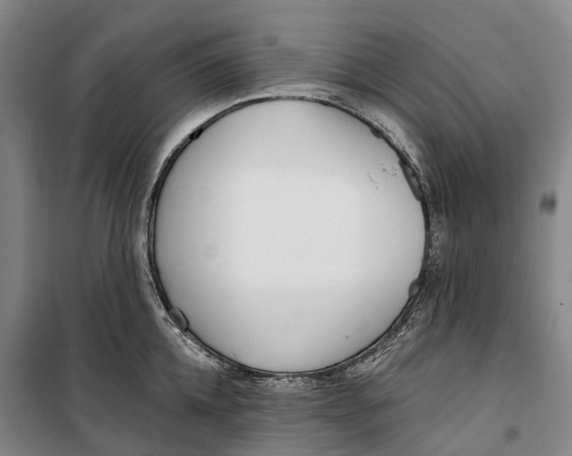 X0000099440952200805301448