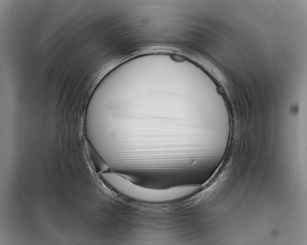 X0000099440953200805301448