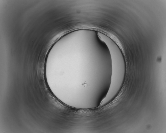 X0000099440954200805301448