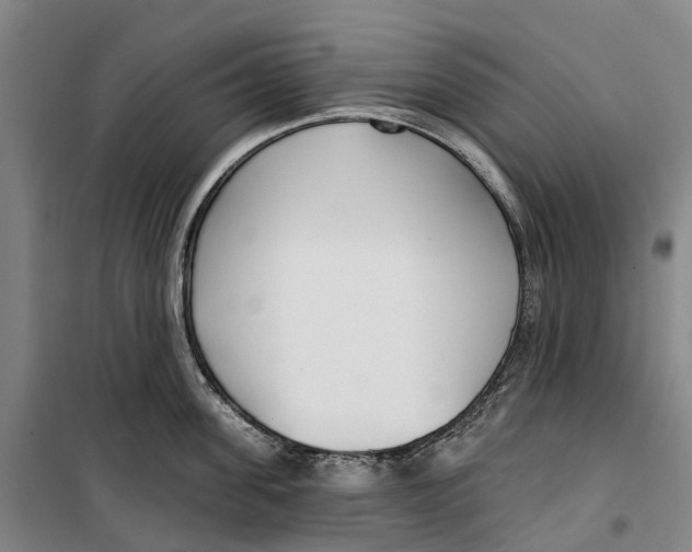 X0000099440955200805301448
