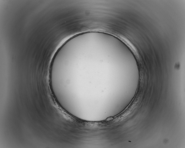 X0000099440956200805301448