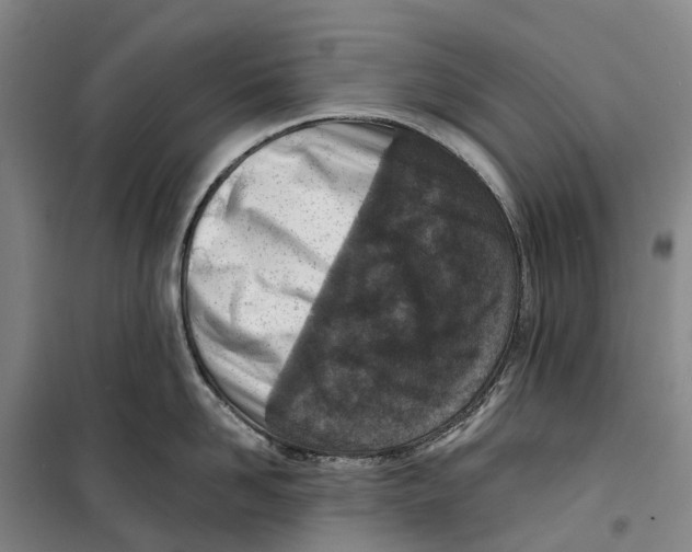X0000099440958200805301448