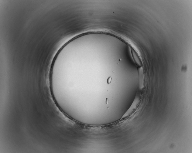 X0000099440959200805301448
