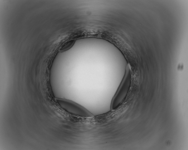 X0000099440961200805301447