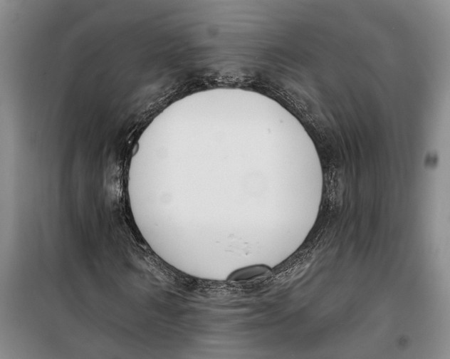 X0000099440962200805301447