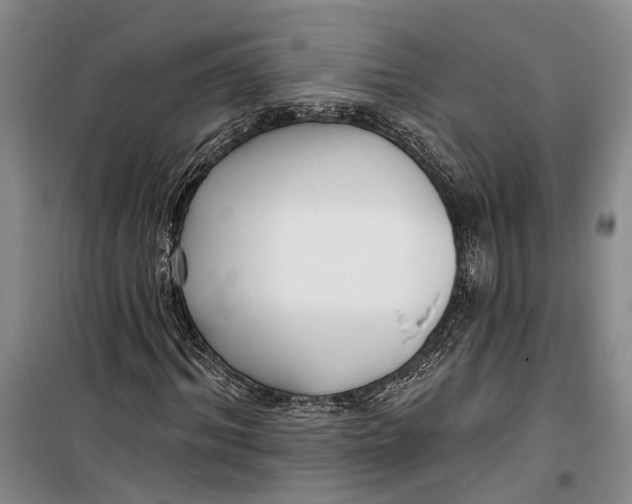 X0000099440964200805301447