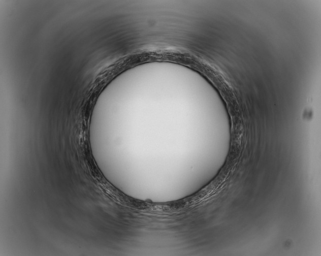 X0000099440966200805301447