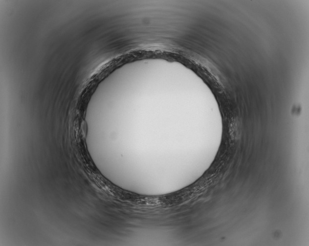X0000099440968200805301447