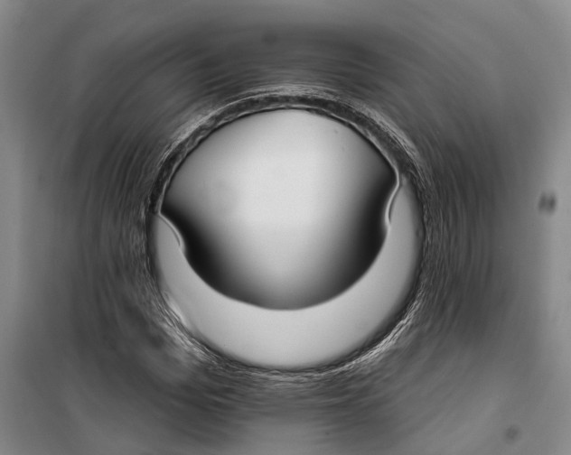 X0000099440969200805301447