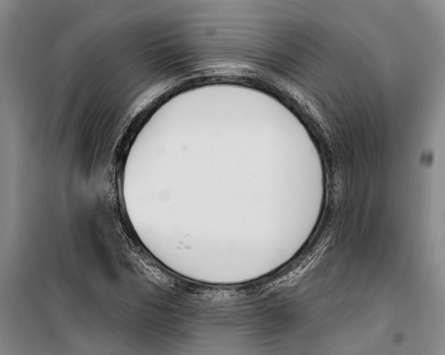 X0000099440970200805301447