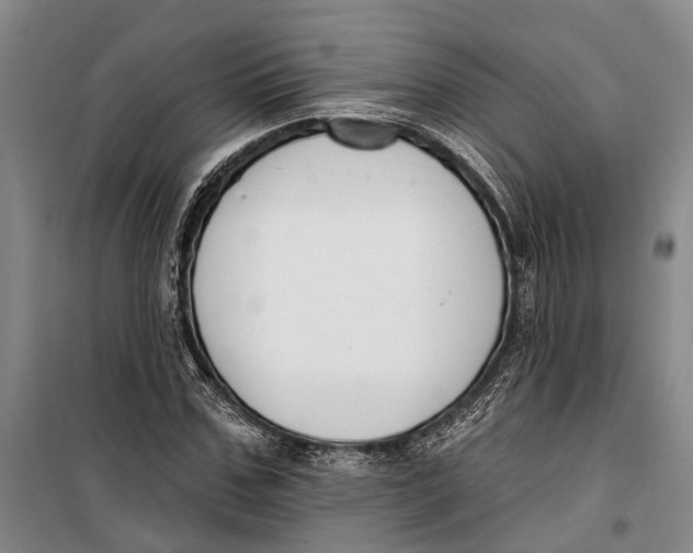 X0000099440971200805301447