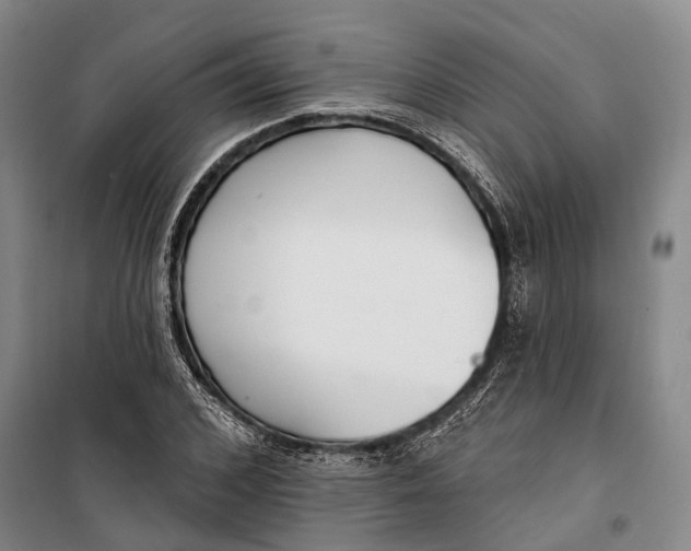 X0000099440976200805301447