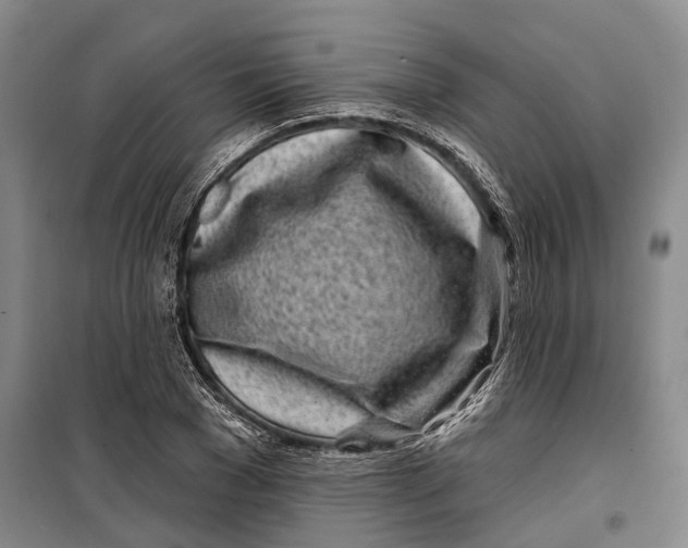 X0000099440977200805301447