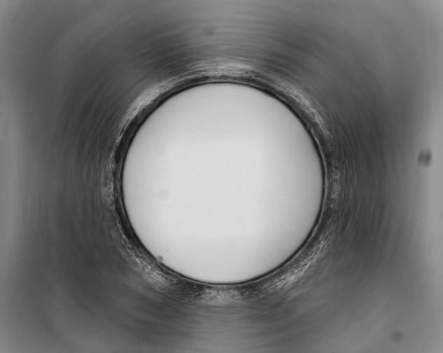 X0000099440978200805301447