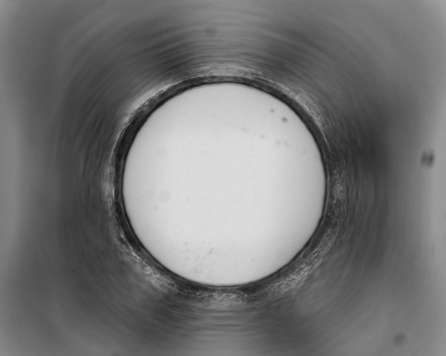 X0000099440979200805301447