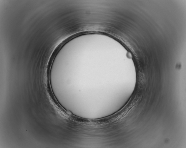 X0000099440980200805301447