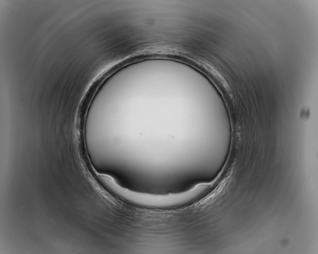 X0000099440981200805301447