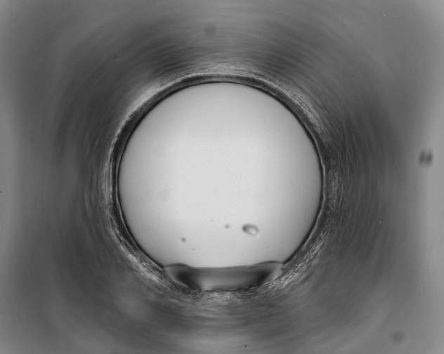 X0000099440982200805301447