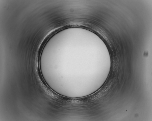 X0000099440984200805301447