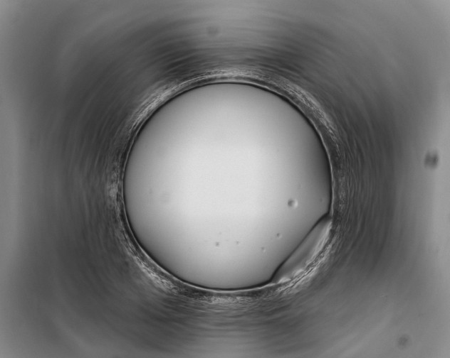 X0000099440985200805301447