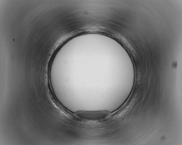 X0000099440986200805301447