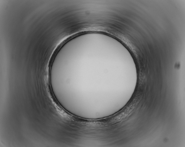 X0000099440988200805301447