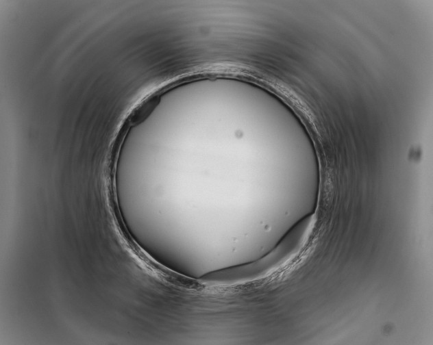 X0000099440989200805301447