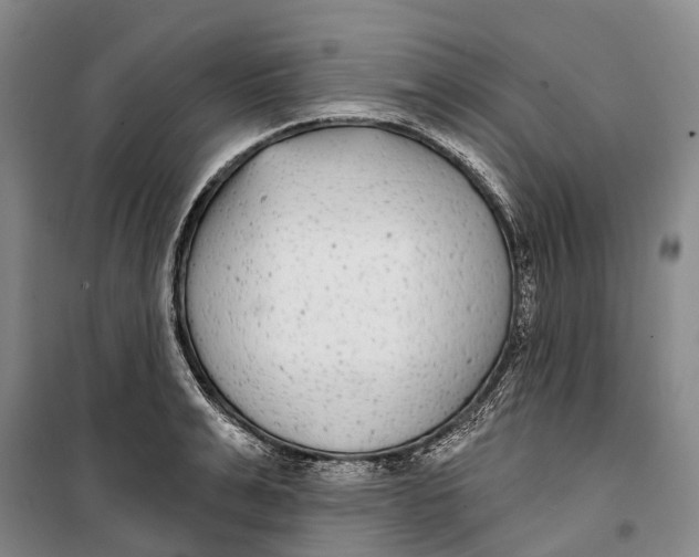 X0000099440991200805301447
