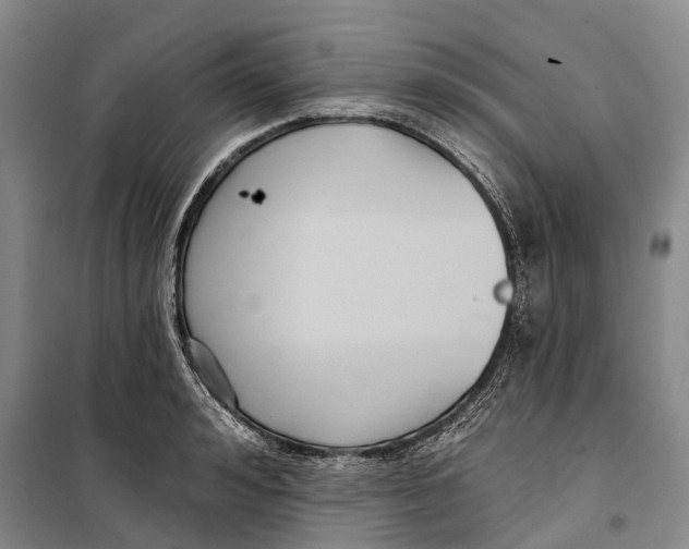 X0000099440992200805301447