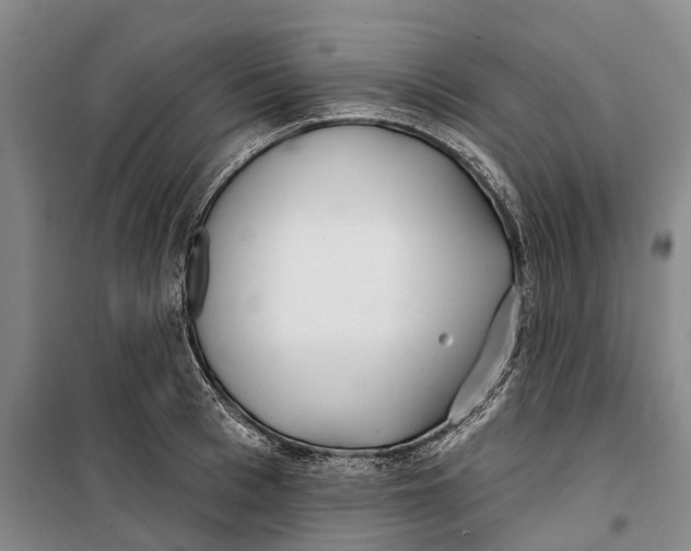 X0000099440993200805301447