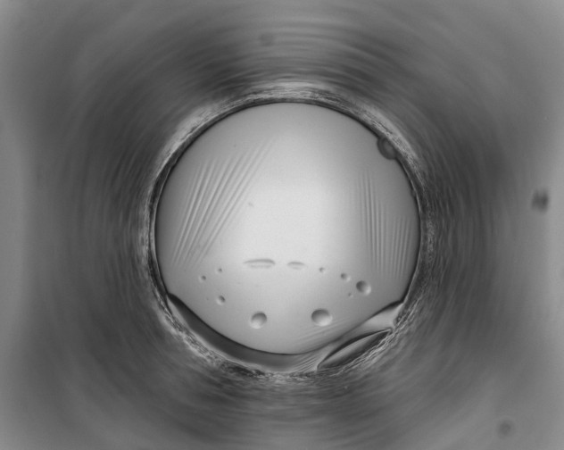 X0000099440994200805301447