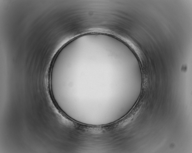 X0000099440999200805301447