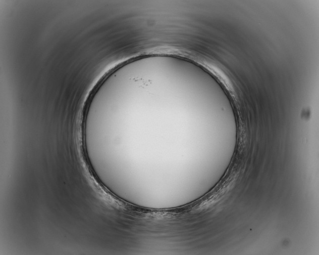 X0000099441000200805301447